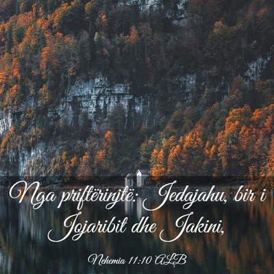 Picture 03 - Nehemia 11:10 ALB - Nga priftërinjtë: Jedajahu, bir i Jojaribit dhe - Bible Verse Picture