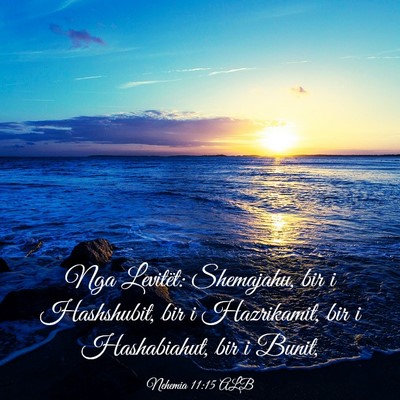 Picture 03 - Nehemia 11:15 ALB - Nga Levitët: Shemajahu, bir i Hashshubit, bir i - Bible Verse Picture