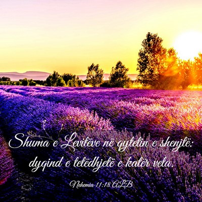 Picture 03 - Nehemia 11:18 ALB - Shuma e Levitëve në qytetin e shenjtë: dyqind - Bible Verse Picture