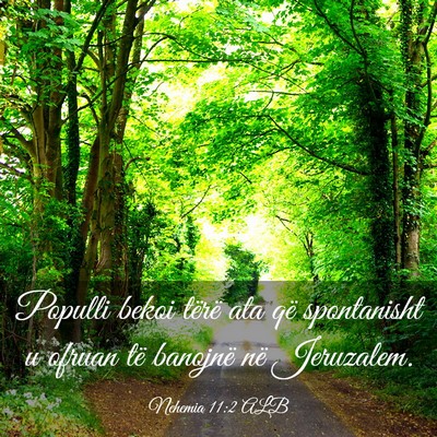 Picture 03 - Nehemia 11:2 ALB - Populli bekoi tërë ata që spontanisht u ofruan - Bible Verse Picture