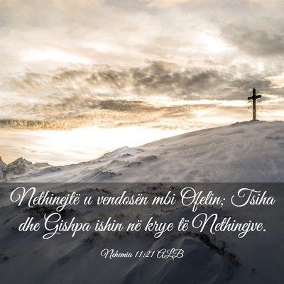 Picture 03 - Nehemia 11:21 ALB - Nethinejtë u vendosën mbi Ofelin; Tsiha dhe - Bible Verse Picture