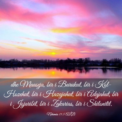 Picture 03 - Nehemia 11:5 ALB - dhe Maaseja, bir i Barukut, bir i Kol-Hozehut, - Bible Verse Picture