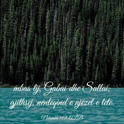Picture 03 - Nehemia 11:8 ALB - mbas tij, Gabai dhe Sallai; gjithsej, nëntëqind - Bible Verse Picture