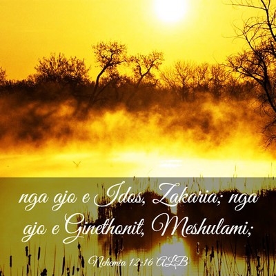 Picture 03 - Nehemia 12:16 ALB - nga ajo e Idos, Zakaria; nga ajo e Ginethonit, - Bible Verse Picture