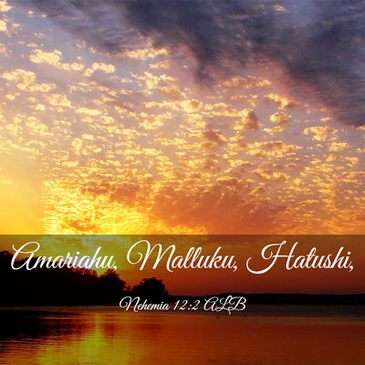 Picture 03 - Nehemia 12:2 ALB - Amariahu, Malluku, - Bible Verse Picture