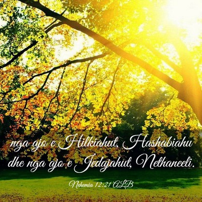 Picture 03 - Nehemia 12:21 ALB - nga ajo e Hilkiahut, Hashabiahu dhe nga ajo e - Bible Verse Picture