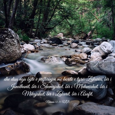 Picture 03 - Nehemia 12:35 ALB - dhe disa nga bijtë e priftërinjve me boritë e - Bible Verse Picture
