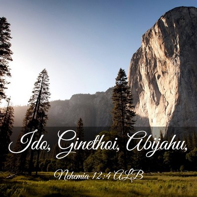 Picture 03 - Nehemia 12:4 ALB - Ido, Ginethoi, - Bible Verse Picture