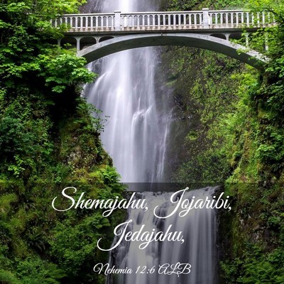 Picture 03 - Nehemia 12:6 ALB - Shemajahu, Jojaribi, - Bible Verse Picture
