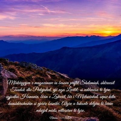 Picture 03 - Nehemia 13:13 ALB - Mbikëqyrjen e magazinave ia besova priftit - Bible Verse Picture