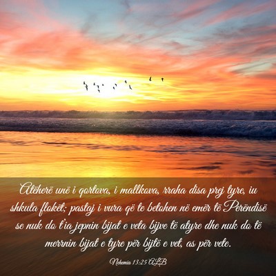 Picture 03 - Nehemia 13:25 ALB - Atëherë unë i qortova, i mallkova, rraha disa - Bible Verse Picture