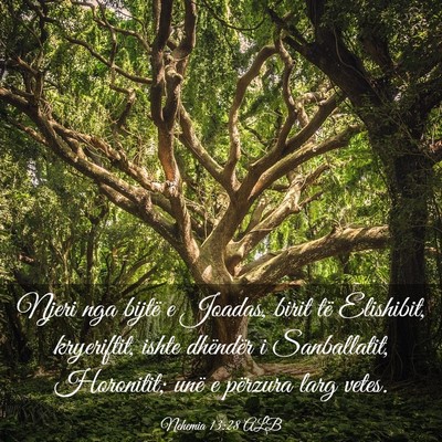 Picture 03 - Nehemia 13:28 ALB - Njeri nga bijtë e Joadas, birit të Elishibit, - Bible Verse Picture