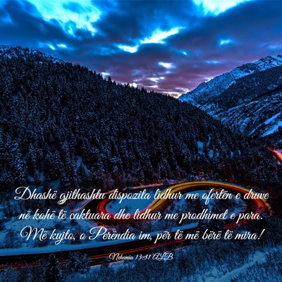 Picture 03 - Nehemia 13:31 ALB - Dhashë gjithashtu dispozita lidhur me ofertën e - Bible Verse Picture
