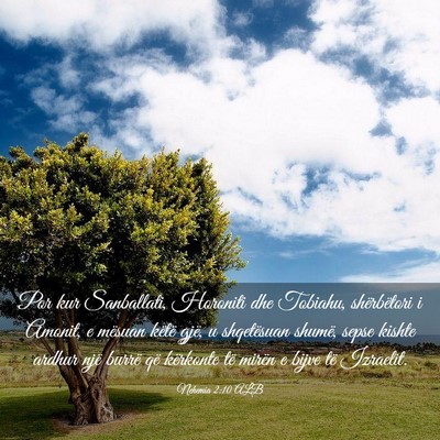Picture 03 - Nehemia 2:10 ALB - Por kur Sanballati, Horoniti dhe Tobiahu, - Bible Verse Picture