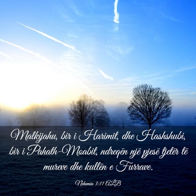 Picture 03 - Nehemia 3:11 ALB - Malkijahu, bir i Harimit, dhe Hashshubi, bir i - Bible Verse Picture