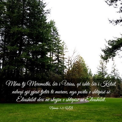 Picture 03 - Nehemia 3:21 ALB - Mbas tij Meremothi, bir i Urias, që ishte bir i - Bible Verse Picture