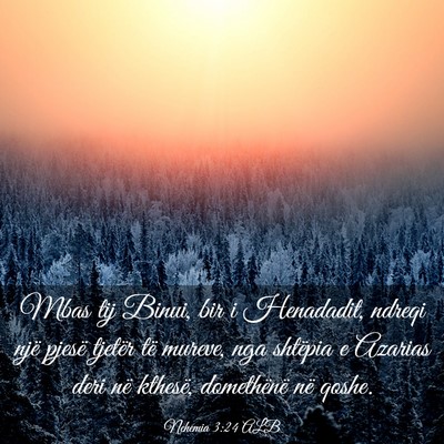 Picture 03 - Nehemia 3:24 ALB - Mbas tij Binui, bir i Henadadit, ndreqi një - Bible Verse Picture
