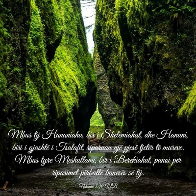Picture 03 - Nehemia 3:30 ALB - Mbas tij Hananiahu, bir i Shelemiahut, dhe - Bible Verse Picture