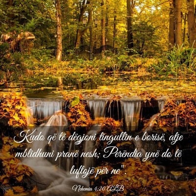 Picture 03 - Nehemia 4:20 ALB - Kudo që të dëgjoni tingullin e borisë, atje - Bible Verse Picture