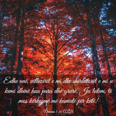 Picture 03 - Nehemia 5:10 ALB - Edhe unë, vëllezërit e mi dhe shërbëtorët e - Bible Verse Picture