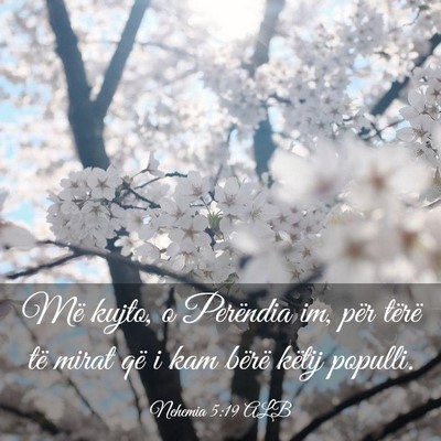 Picture 03 - Nehemia 5:19 ALB - Më kujto, o Perëndia im, për tërë të mirat - Bible Verse Picture