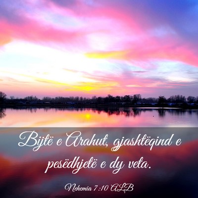 Picture 03 - Nehemia 7:10 ALB - Bijtë e Arahut, gjashtëqind e pesëdhjetë e dy - Bible Verse Picture