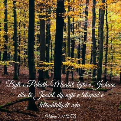 Picture 03 - Nehemia 7:11 ALB - Bijtë e Pahath-Moabit, bijtë e Jeshuas dhe të - Bible Verse Picture