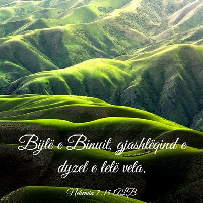Picture 03 - Nehemia 7:15 ALB - Bijtë e Binuit, gjashtëqind e dyzet e tetë - Bible Verse Picture