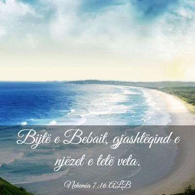 Picture 03 - Nehemia 7:16 ALB - Bijtë e Bebait, gjashtëqind e njëzet e tetë - Bible Verse Picture