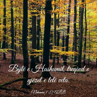 Picture 03 - Nehemia 7:22 ALB - Bijtë e Hashumit, treqind e njëzet e tetë - Bible Verse Picture