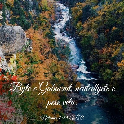Picture 03 - Nehemia 7:25 ALB - Bijtë e Gabaonit, nëntëdhjetë e pesë - Bible Verse Picture