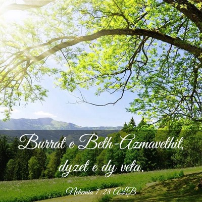 Picture 03 - Nehemia 7:28 ALB - Burrat e Beth-Azmavethit, dyzet e dy - Bible Verse Picture