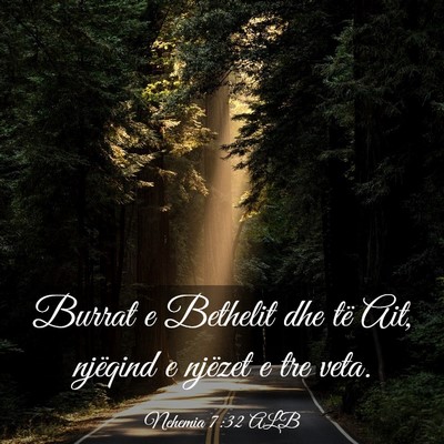 Picture 03 - Nehemia 7:32 ALB - Burrat e Bethelit dhe të Ait, njëqind e njëzet - Bible Verse Picture