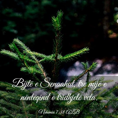 Picture 03 - Nehemia 7:38 ALB - Bijtë e Senaahut, tre mijë e nëntëqind e - Bible Verse Picture