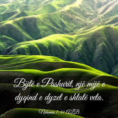 Picture 03 - Nehemia 7:41 ALB - Bijtë e Pashurit, një mijë e dyqind e dyzet e - Bible Verse Picture