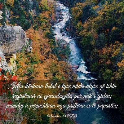 Picture 03 - Nehemia 7:64 ALB - Këta kërkuan listat e tyre midis atyre që - Bible Verse Picture