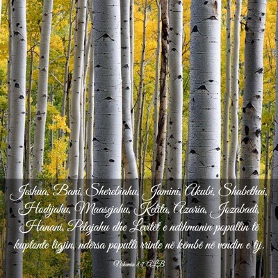 Picture 03 - Nehemia 8:7 ALB - Jeshua, Bani, Sherebiahu, Jamini, Akubi, - Bible Verse Picture