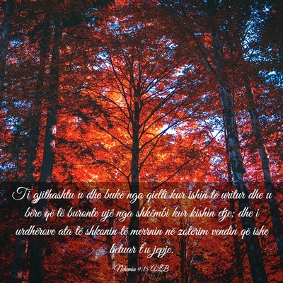 Picture 03 - Nehemia 9:15 ALB - Ti gjithashtu u dhe bukë nga qielli kur ishin - Bible Verse Picture