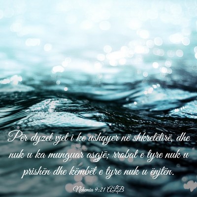 Picture 03 - Nehemia 9:21 ALB - Për dyzet vjet i ke ushqyer në shkretëtirë, - Bible Verse Picture