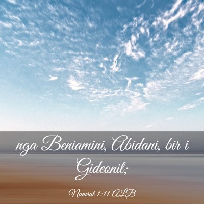 Picture 03 - Numrat 1:11 ALB - nga Beniamini, Abidani, bir i - Bible Verse Picture