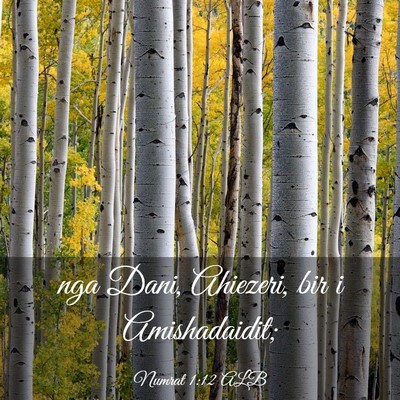 Picture 03 - Numrat 1:12 ALB - nga Dani, Ahiezeri, bir i - Bible Verse Picture
