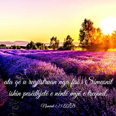 Picture 03 - Numrat 1:23 ALB - ata që u regjistruan nga fisi i Simeonit ishin - Bible Verse Picture