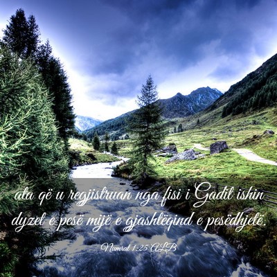 Picture 03 - Numrat 1:25 ALB - ata që u regjistruan nga fisi i Gadit ishin - Bible Verse Picture