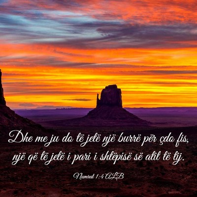 Picture 03 - Numrat 1:4 ALB - Dhe me ju do të jetë një burrë për çdo fis, - Bible Verse Picture