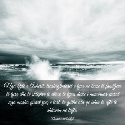 Picture 03 - Numrat 1:40 ALB - Nga bijtë e Asherit, trashëgimtarët e tyre në - Bible Verse Picture
