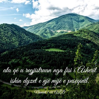 Picture 03 - Numrat 1:41 ALB - ata që u regjistruan nga fisi i Asherit ishin - Bible Verse Picture