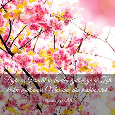 Picture 03 - Numrat 1:54 ALB - Bijtë e Izraelit iu binden gjithçkaje që Zoti - Bible Verse Picture