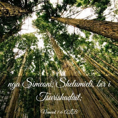 Picture 03 - Numrat 1:6 ALB - nga Simeoni, Shelumieli, bir i - Bible Verse Picture