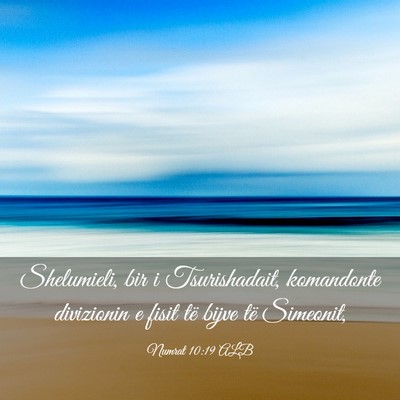 Picture 03 - Numrat 10:19 ALB - Shelumieli, bir i Tsurishadait, komandonte - Bible Verse Picture