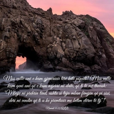 Picture 03 - Numrat 11:12 ALB - Mos vallë unë e kam gjeneruar tërë këtë - Bible Verse Picture